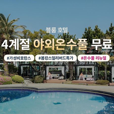 布卢姆酒店 济州市 外观 照片